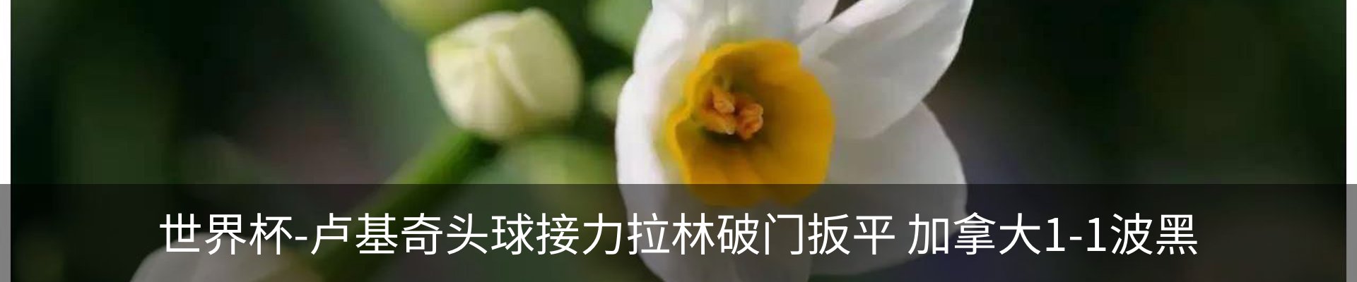 新闻动态