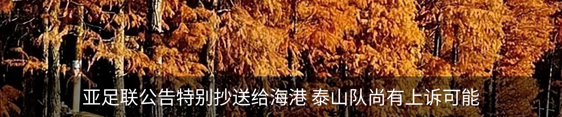 新闻动态