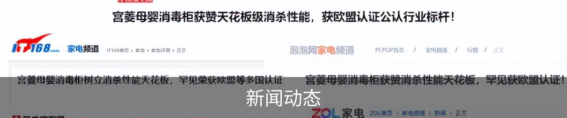 新闻动态